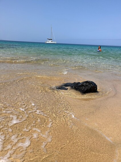 Picture 8 for Activity Lanzarote: Cruise tour along the Papagayo Coast with a 4-hour departure 3