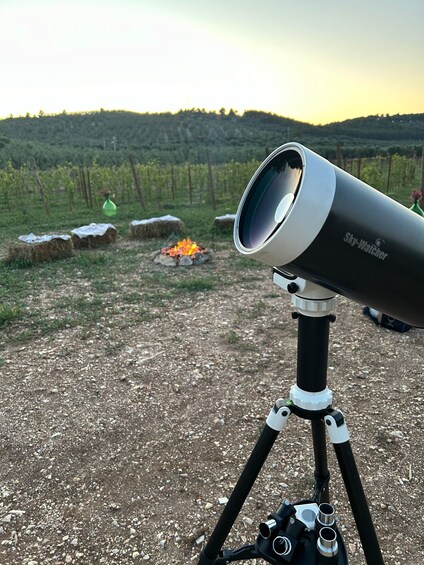 Vieste: Sunset Picnic in Vineyard WineTasting and Stargazing 3