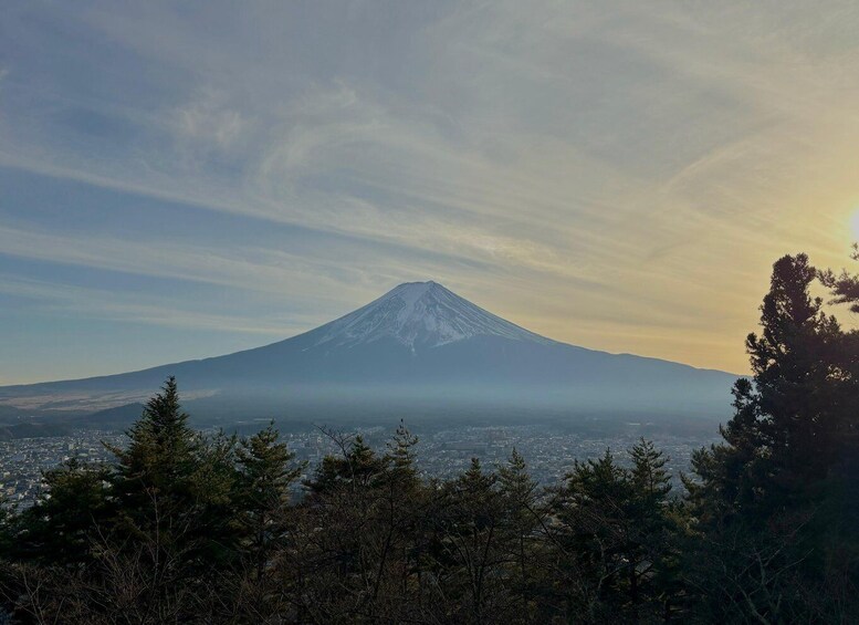 Tokyo: Mount Fuji Region Day Trip with Bullet Train Ride 1