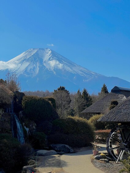 Picture 4 for Activity Tokyo: Mount Fuji Region Day Trip with Bullet Train Ride 2