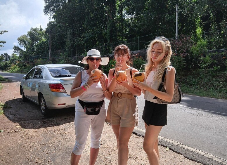 Picture 3 for Activity Udawalawe Safari & Transfer to Ella from Mirissa 3