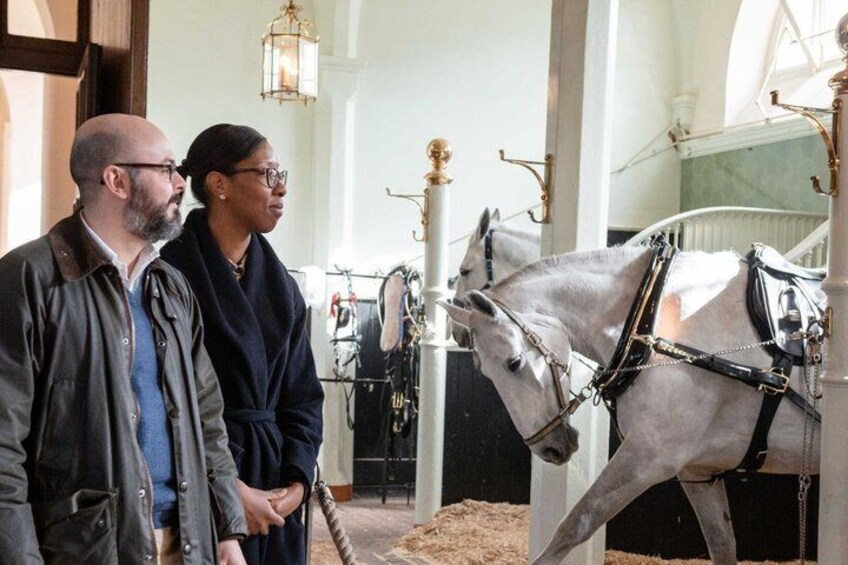 Two people observing a horse in a stable with a carriage. 5