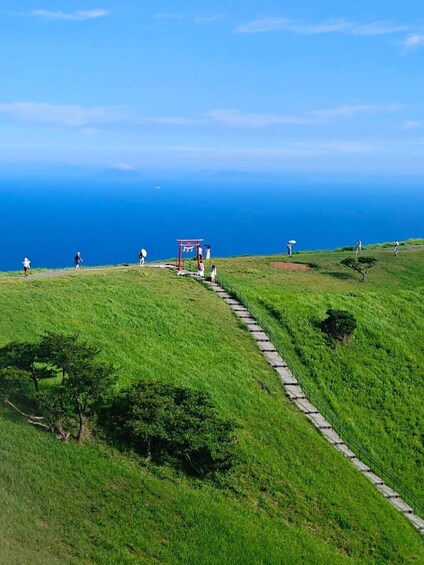 Picture 2 for Activity From Tokyo: 10 hours Private Izu Peninsula Day Trip 2