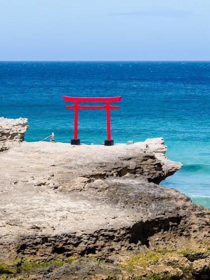 Picture 1 for Activity From Tokyo: 10 hours Private Izu Peninsula Day Trip 5
