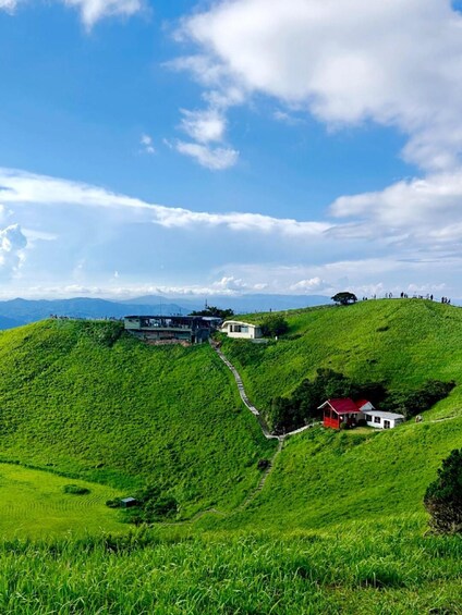 Picture 3 for Activity From Tokyo: 10 hours Private Izu Peninsula Day Trip 3