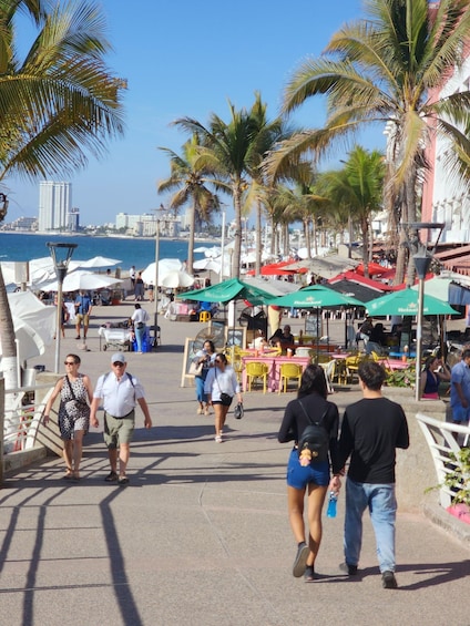 Picture 1 for Activity Puerto Vallarta City Highlights & Tequila Tasting 5