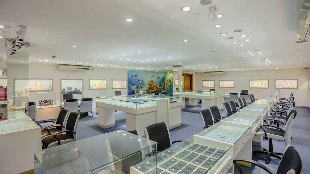 A jewelry store with glass display cases and a mural on the wall. 2