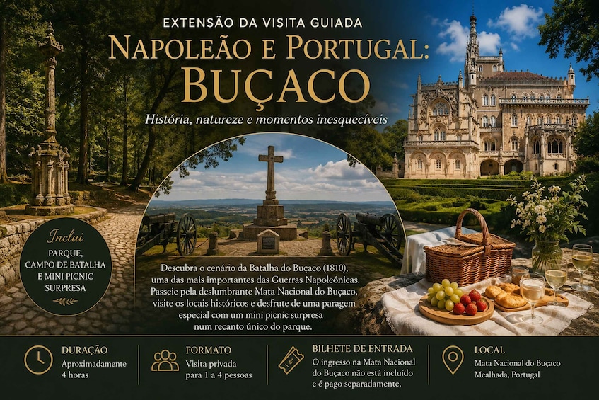 Porto-Bucaco: Private Buçaco Battlefield Tour with Picnic 1