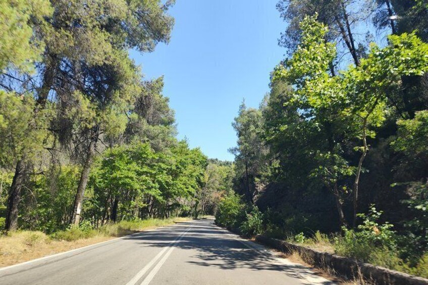 Athens St John Russian Euboea Day Trip with Optional Lunch 4