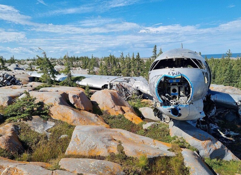 Picture 5 for Activity Churchill: Private Polar Bear and Hudson Bay Road Safari 2