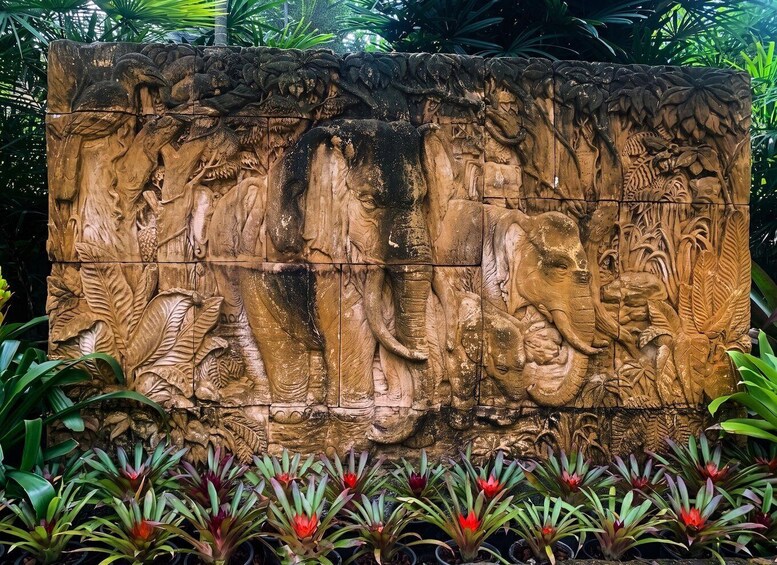Picture 21 for Activity Private Nong Nooch Garden Tour: Lunch, shows & Dinosaurs 5