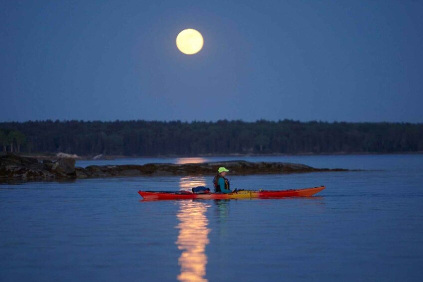 Picture 1 for Activity Full Moon Kayak Tour: Port Townsend, WA 3