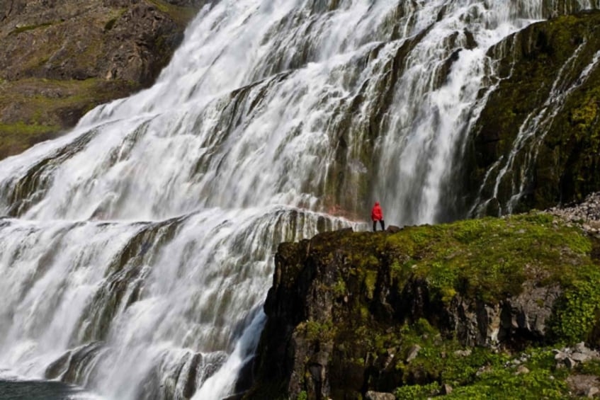 Picture 2 for Activity The Grand West: Látrabjarg Bird Cliffs and Rauðasandur Tour 2