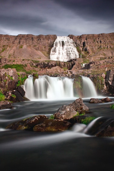 Picture 11 for Activity The Grand West: Látrabjarg Bird Cliffs and Rauðasandur Tour 3