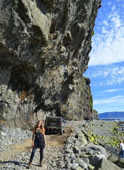 Picture 7 for Activity The Grand West: Látrabjarg Bird Cliffs and Rauðasandur Tour 5