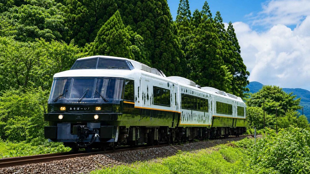 Aso Boy Train Ride, Mount Aso & Kumamoto Castle Day Tour 1