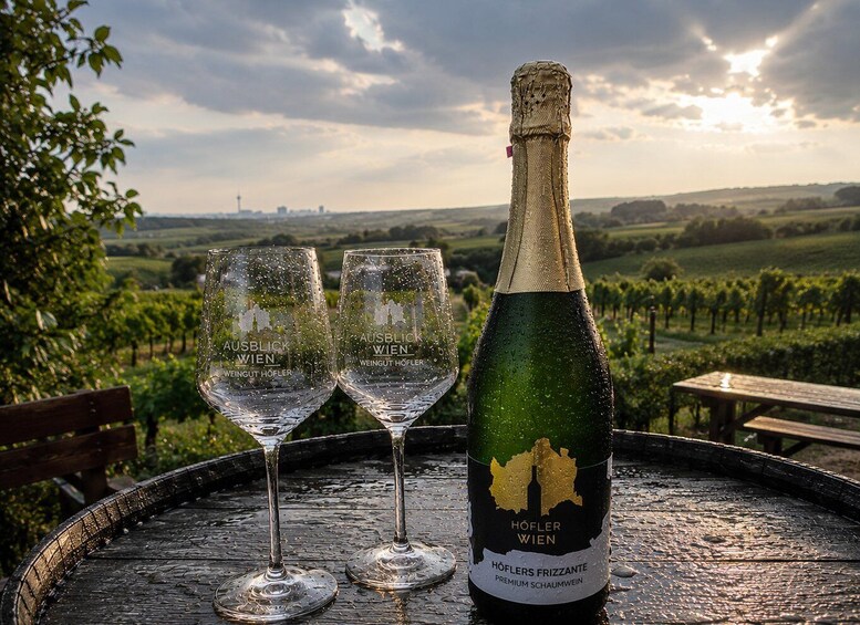 Picture 3 for Activity Vienna: Guided Wine Walk and Tasting at Bisamberg Vineyards 5