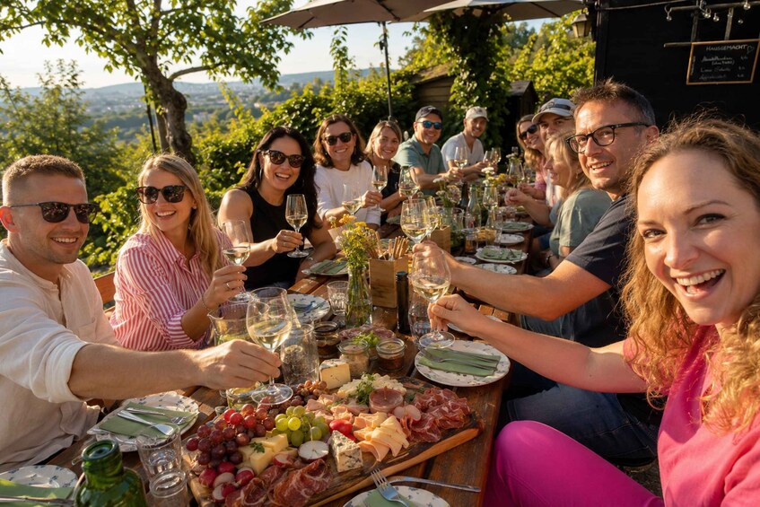 Picture 1 for Activity Vienna: Guided Wine Walk and Tasting at Bisamberg Vineyards 2