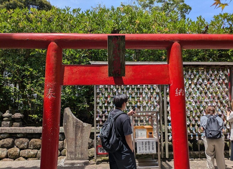 Picture 34 for Activity Kamakura Shrines, Street food, and Enoshima Tour 4
