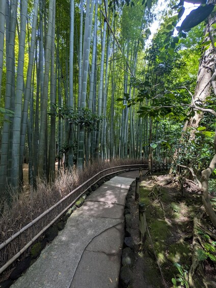 Picture 30 for Activity Kamakura Shrines, Street food, and Enoshima Tour 5