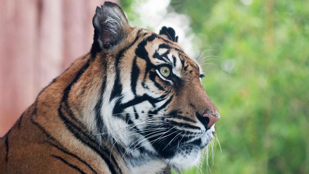 Picture 4 for Activity World-class London Zoo: Entry Ticket & Guided Wildlife Tour 5