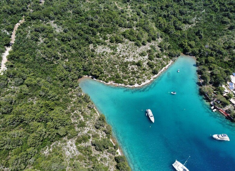 Picture 2 for Activity Sv. Filip i Jakov: Sailing Adventure 5