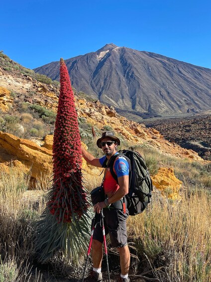 Picture 6 for Activity Teide National Park: Guided Volcano Hike 3