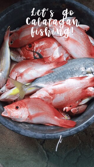 Picture 4 for Activity Calatagan: Guided Fishing Trip with Local Fishermen 4