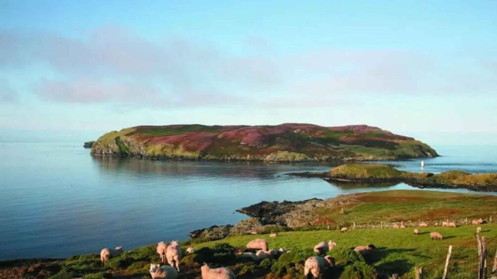 Isle of Man: Southern Explorer Tour with Driver Guide 1