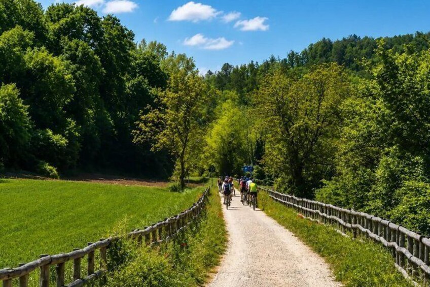 Lucca Electric Bike Tour To The Historic Royal Villa of Marlia 4