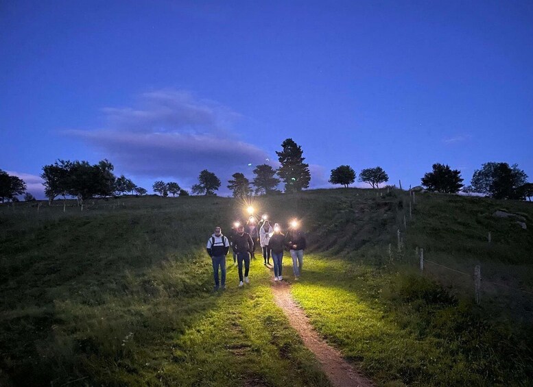 Picture 6 for Activity Hike with a live guide, head in the stars, on the heights of Orbey 2