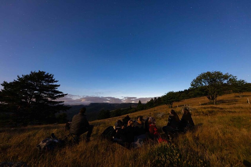 Picture 3 for Activity Hike with a live guide, head in the stars, on the heights of Orbey 5