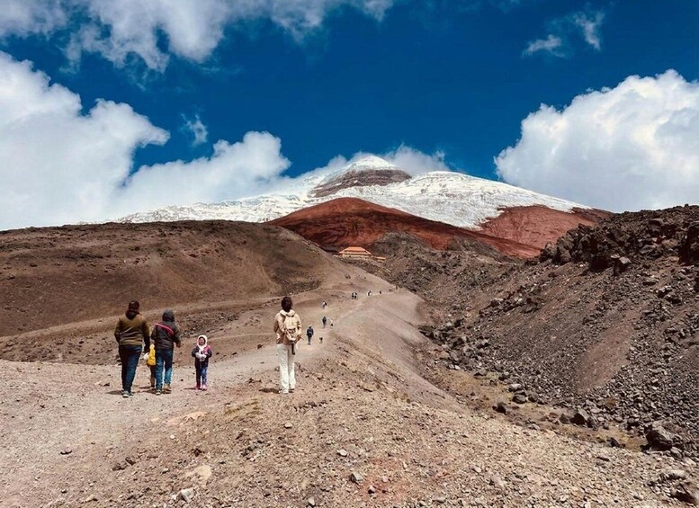 Picture 11 for Activity Cotopaxi: All-Inclusive Sightseeing Tour with Visit to Limpiopungo Lagoon 3