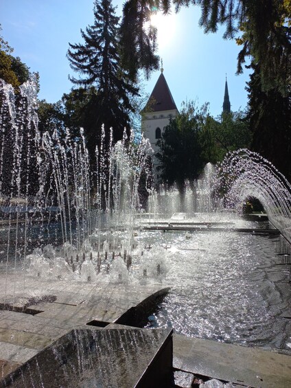 Picture 1 for Activity Košice: Guided Walking Tour 3