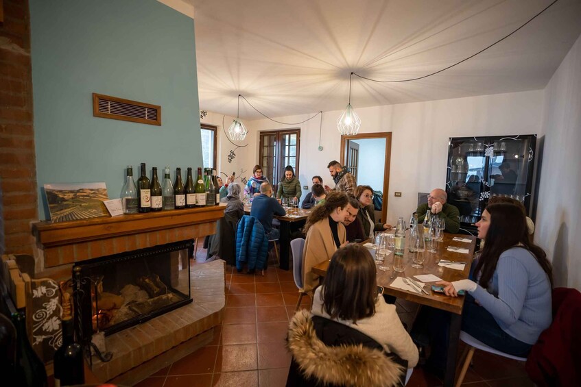 Picture 3 for Activity Parma: Guided wine tasting with a light lunch of local products 4
