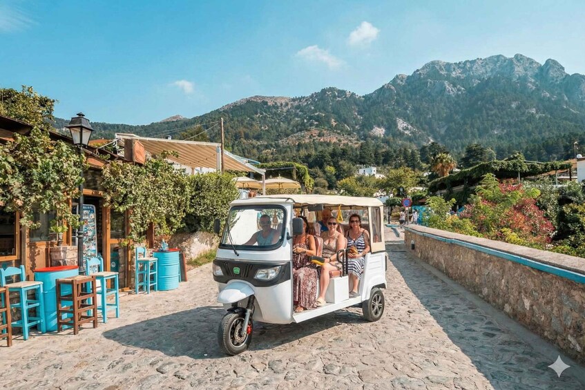 Picture 1 for Activity Kos: Olive Oil, Aloe Vera and Wine Tasting Tuk Tuk Tour 2