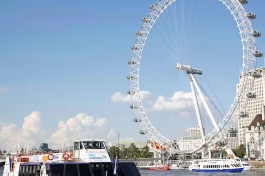 Thames River Sightseeing Cruise in London 4
