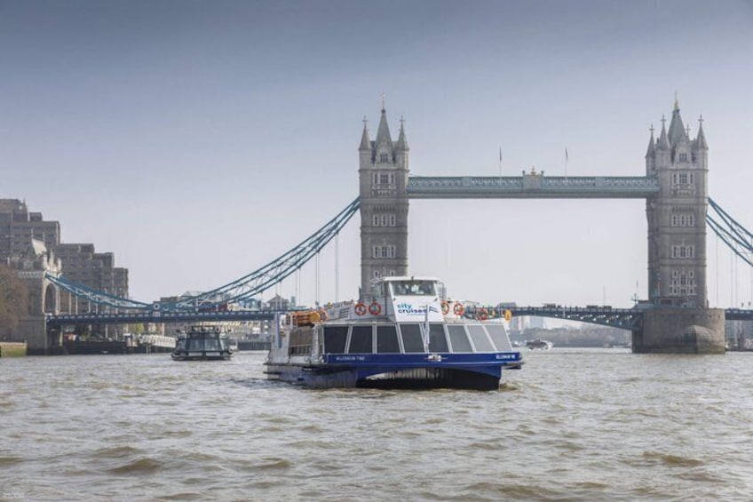 Thames River Sightseeing Cruise in London 1