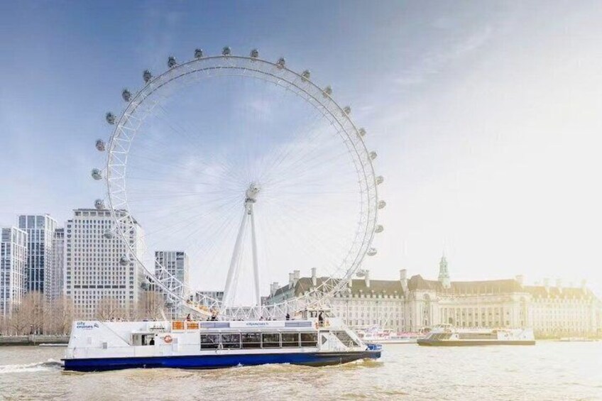 Thames River Sightseeing Cruise in London 2