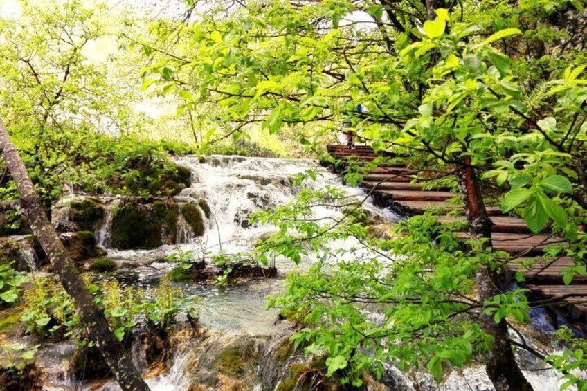Explore Plitvice with Shared Bus and Hike 4