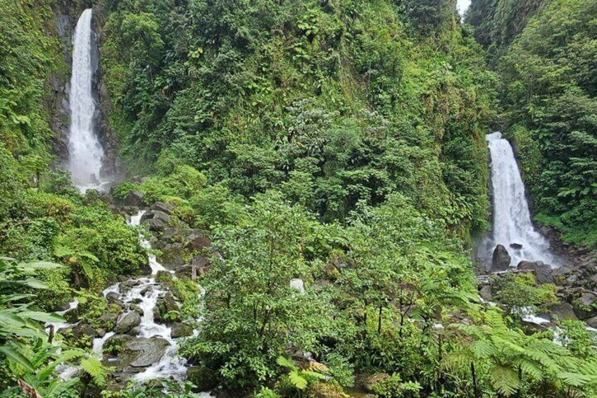 A lush forest with multiple waterfalls. 2
