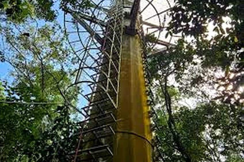 Ein gelber Turm mit Metallgerüst, umgeben von dichtem Grün. 3