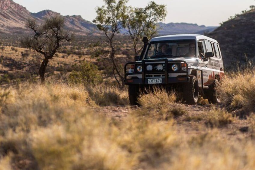 5 Day Art and Culture Tour of Central Australia 5