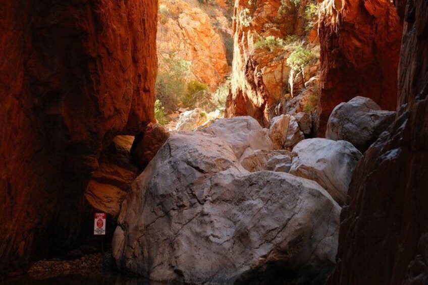 5 Day Art and Culture Tour of Central Australia 4