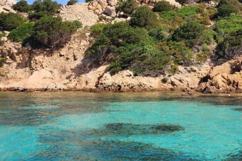 Palau Italy dinghy snorkeling tour 2