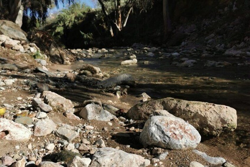 Athens Stream Self-Guided Walking Tour 3