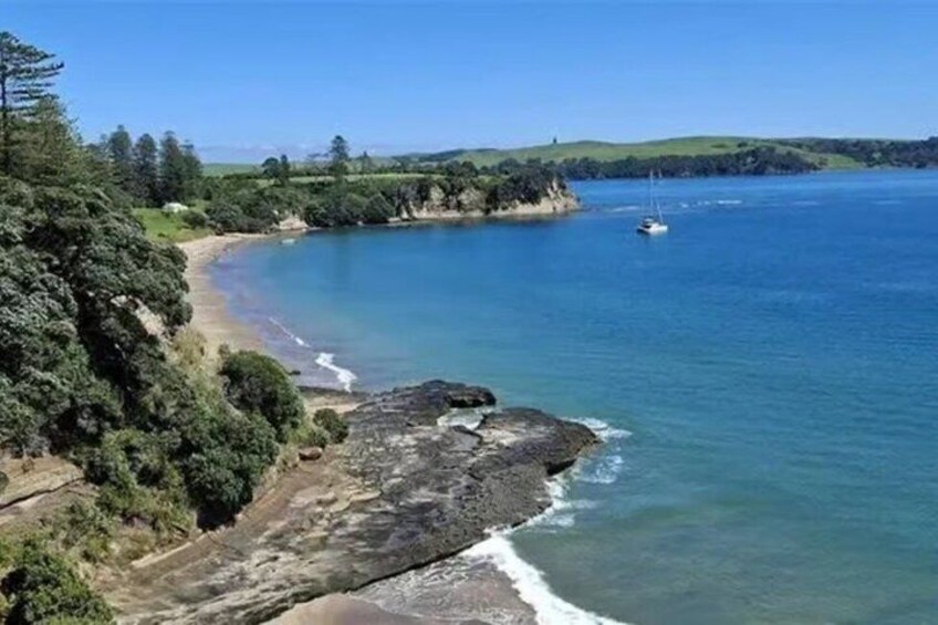 Motuihe Island Wildlife Private Experience 3