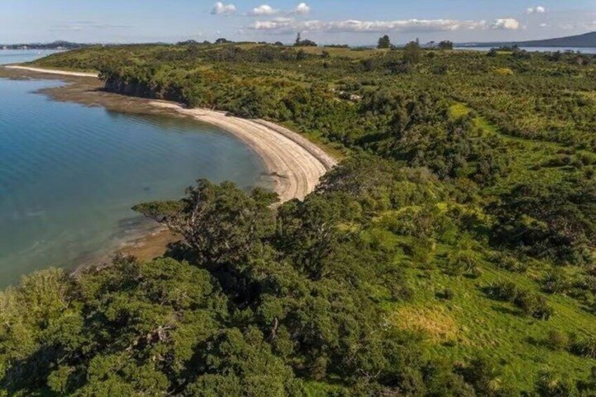 Motuihe Island Wildlife Private Experience 4