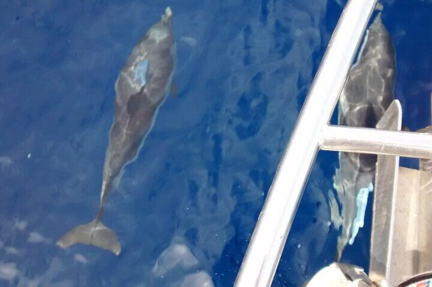 private sailing cruises 3