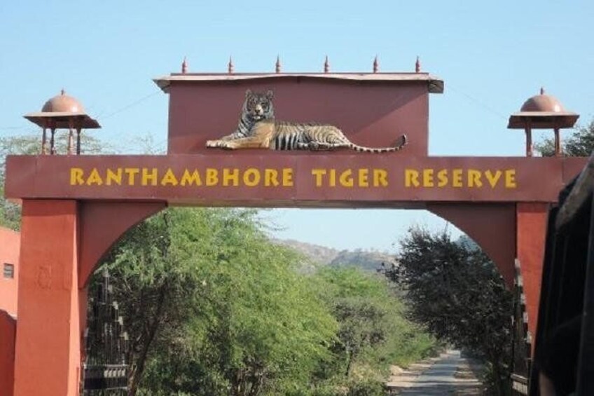 An archway with a tiger and the text 'Ranthambhore Tiger Reserve.' 2